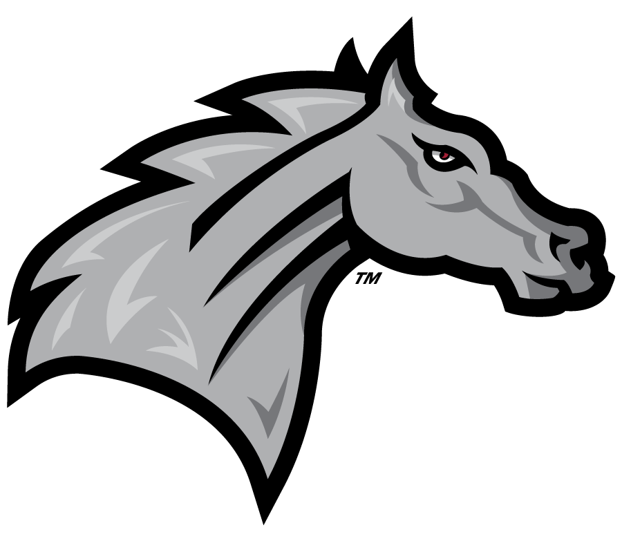 Rider Broncs 2007-Pres Secondary Logo v2 diy iron on heat transfer